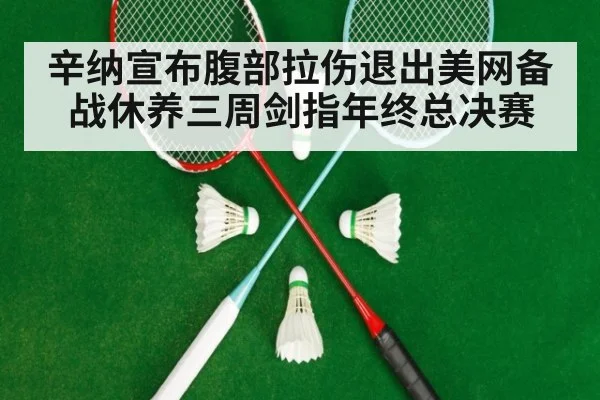 辛纳宣布腹部拉伤退出美网备战休养三周剑指年终总决赛