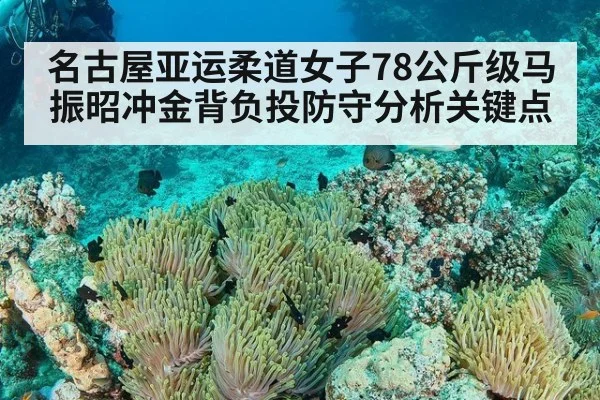 名古屋亚运柔道女子78公斤级马振昭冲金背负投防守分析关键点